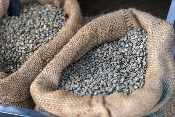 Divine Coffee Exporters & Traders Uganda Limited (East Africa)
